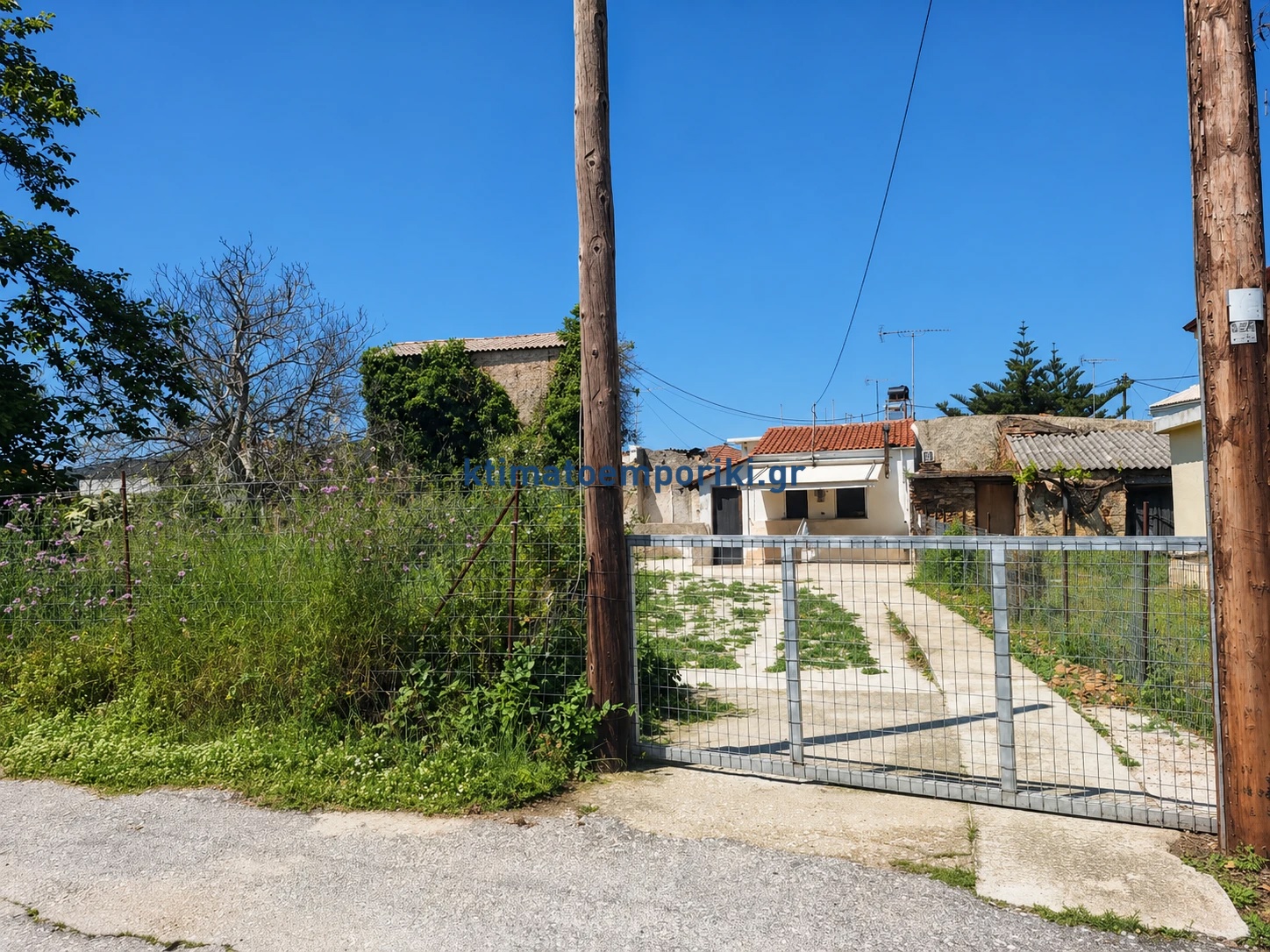 Gallery image 12