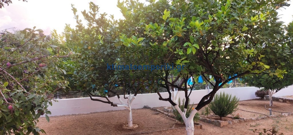 Gallery image 26
