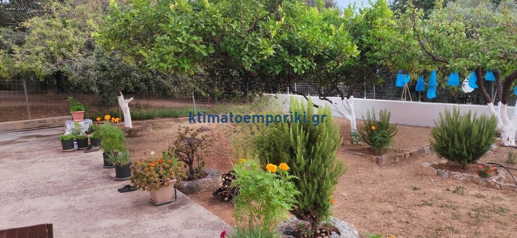 Gallery image 29