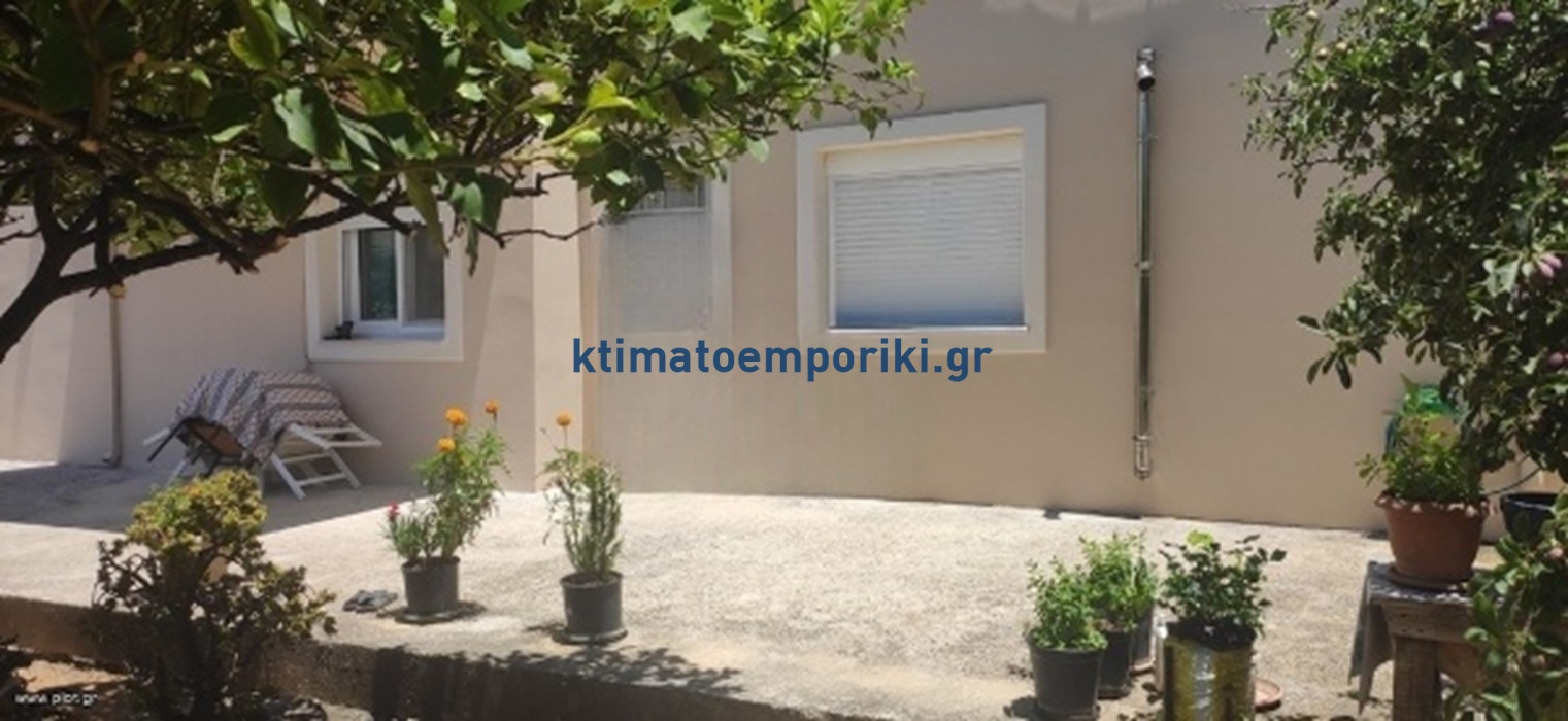Gallery image 18