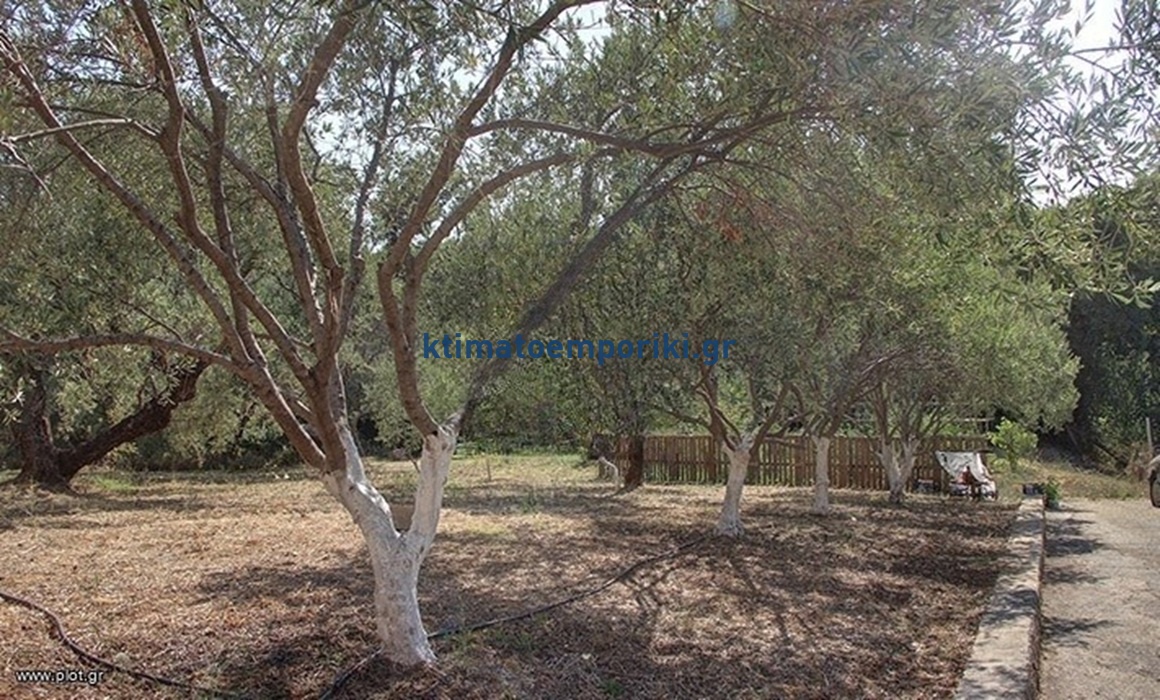 Gallery image 28
