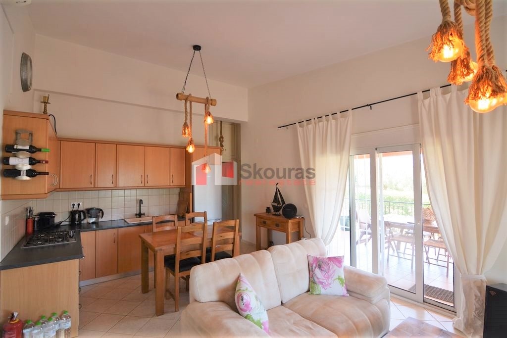 Gallery image 11