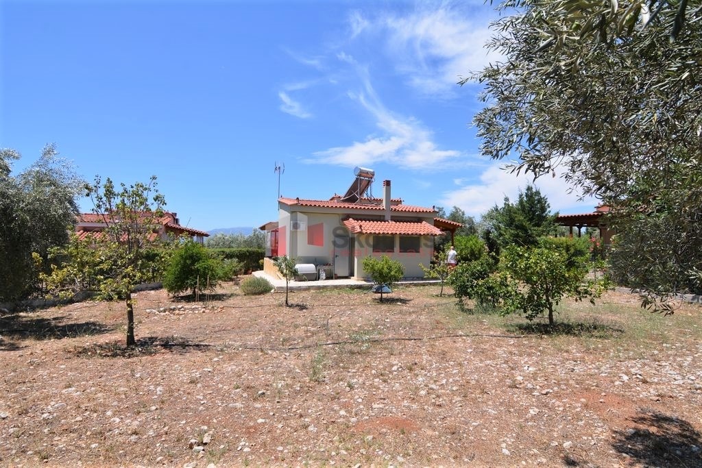Gallery image 9