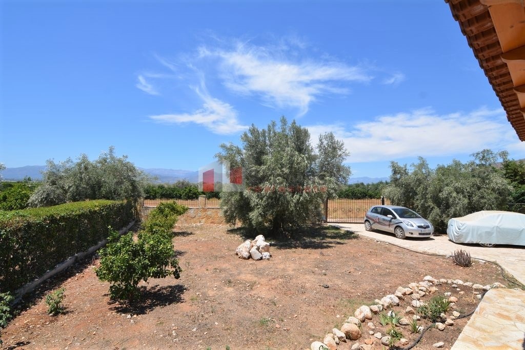 Gallery image 21