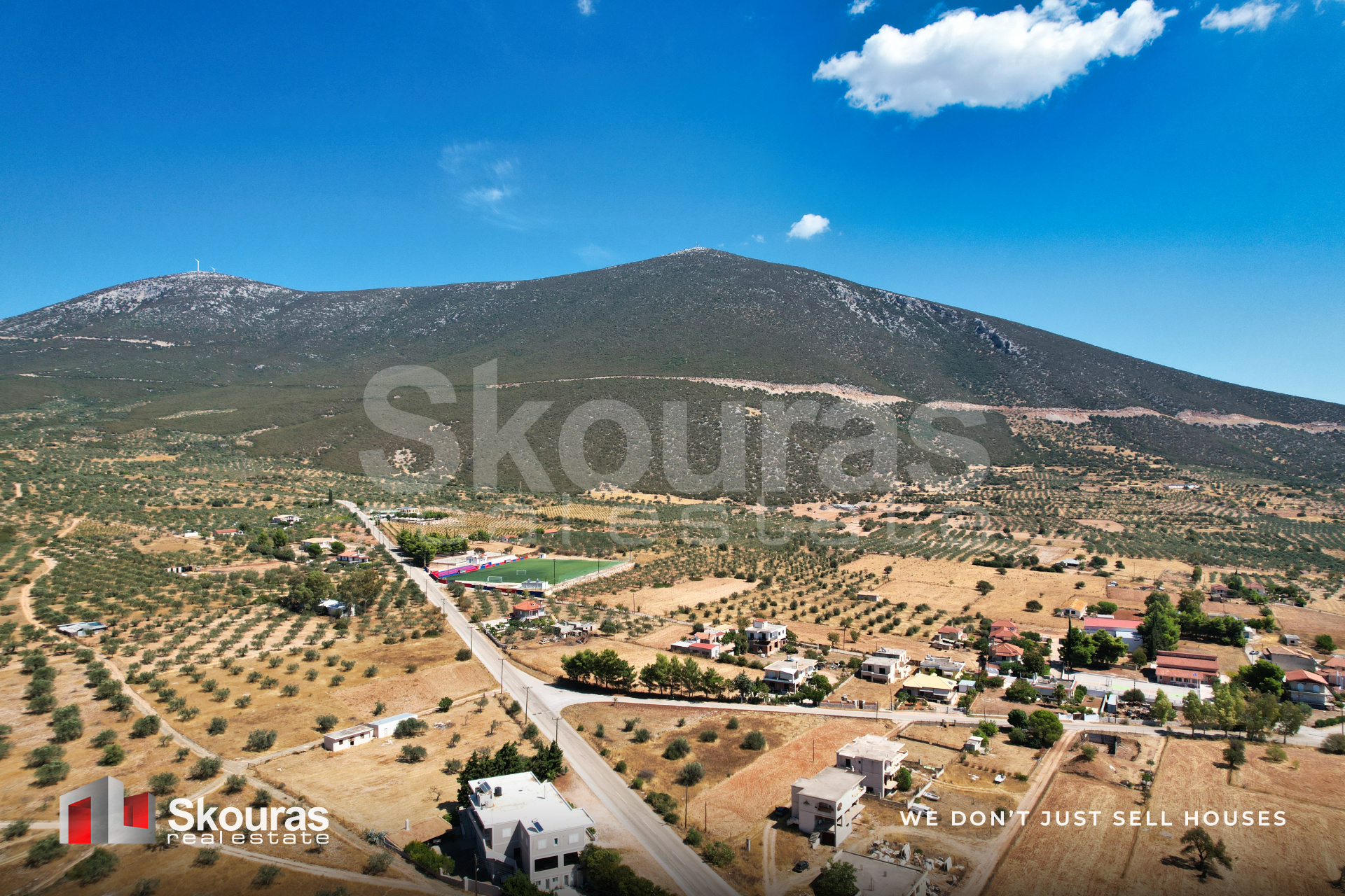 Gallery image 17