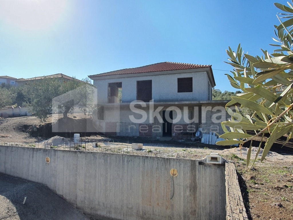 Gallery image 15