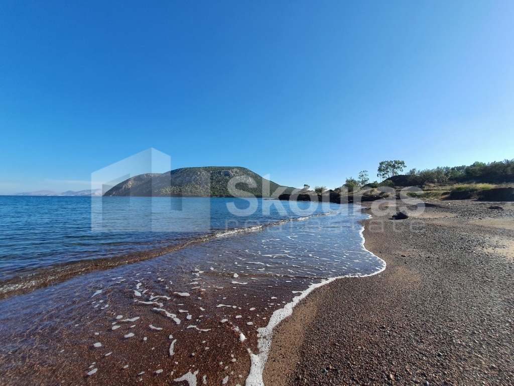 Gallery image 12