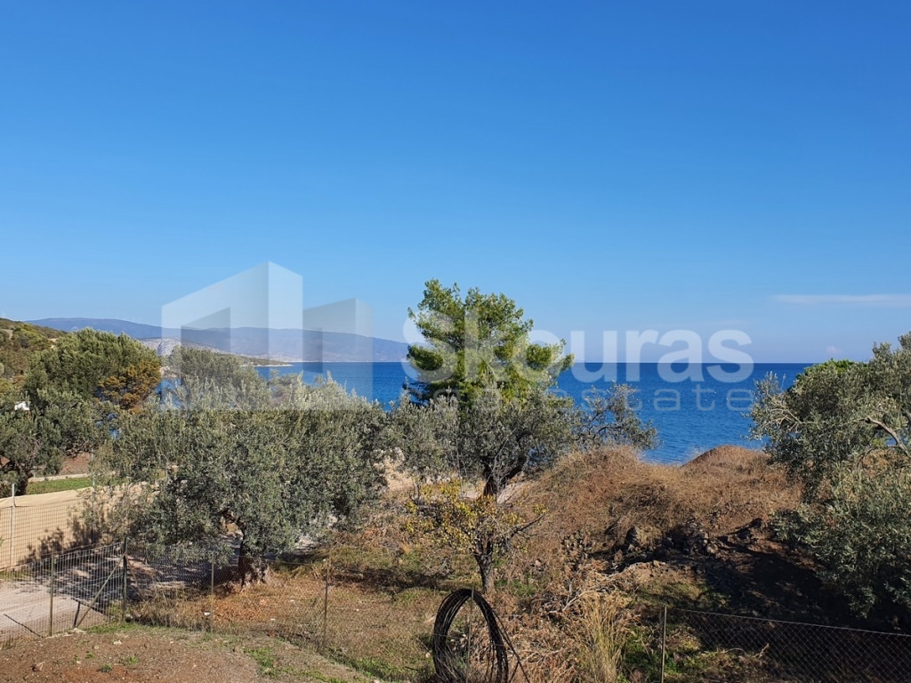 Gallery image 16