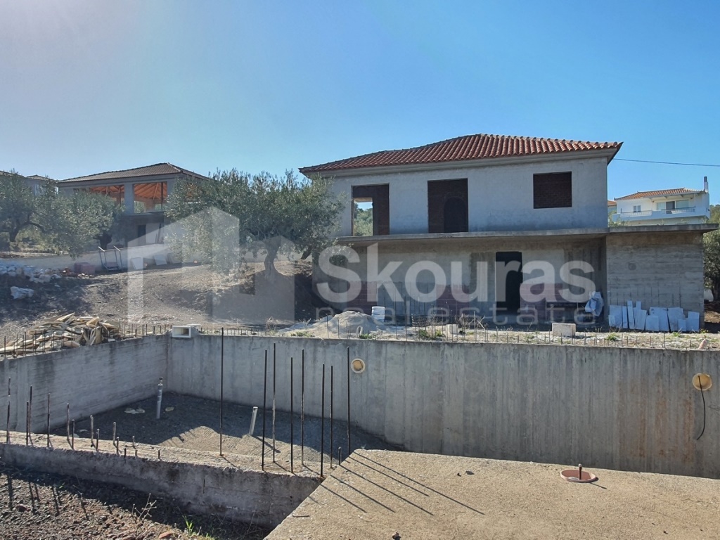 Gallery image 17