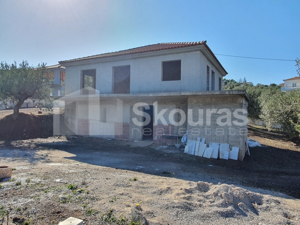 Gallery image 14