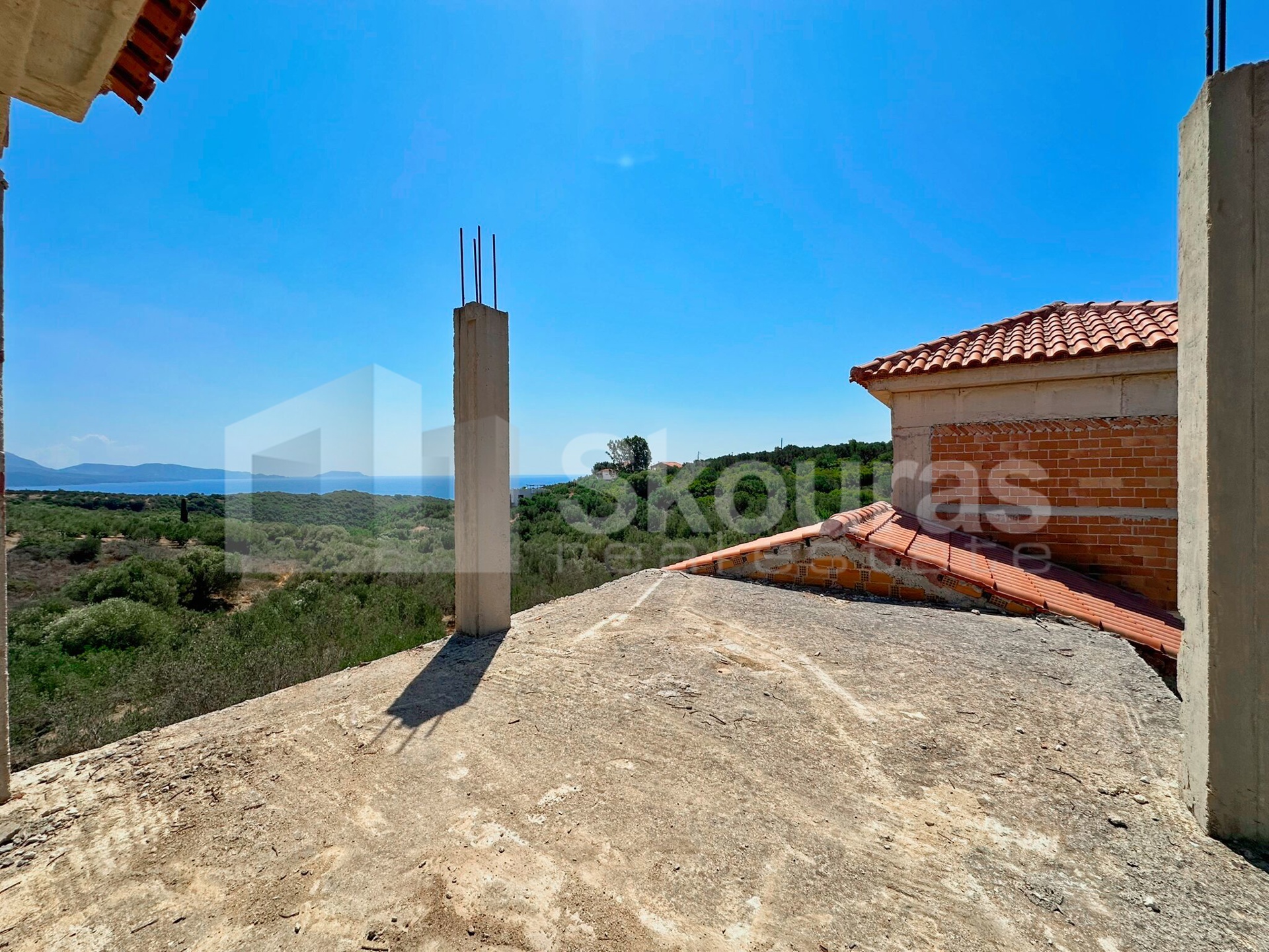 Gallery image 7