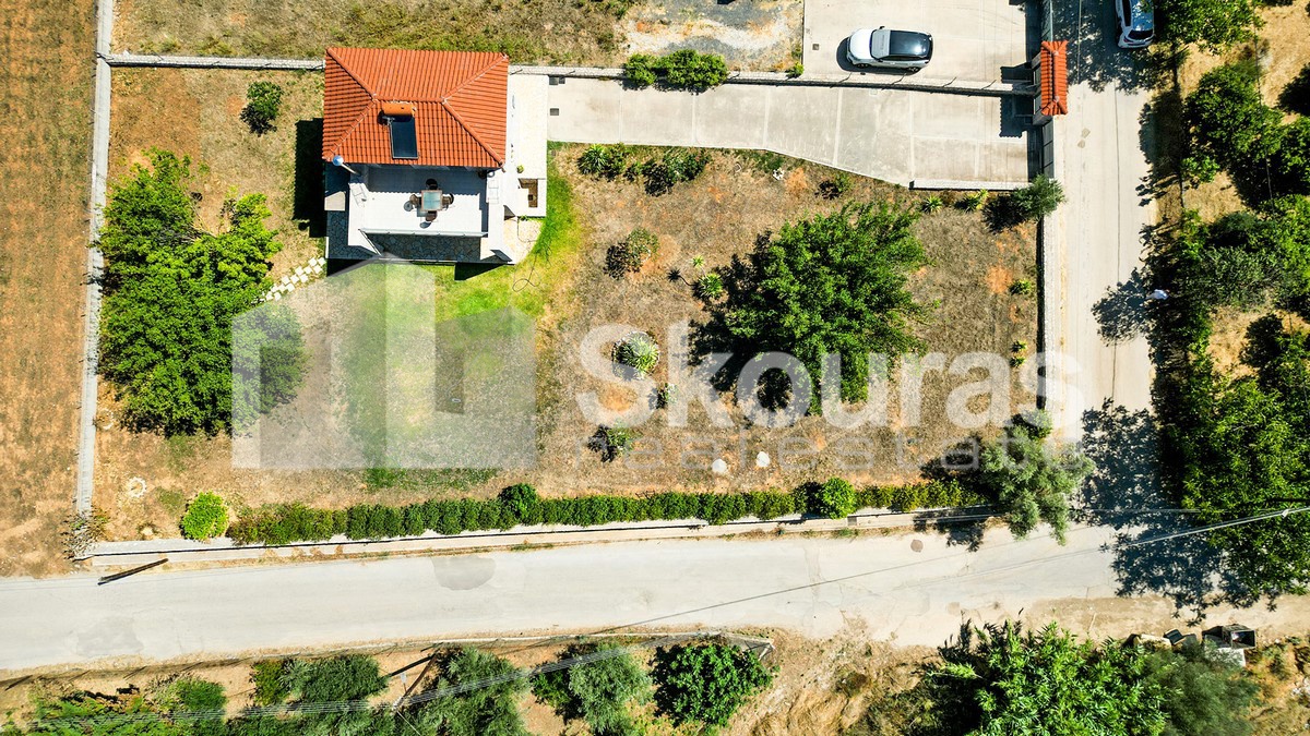 Gallery image 25