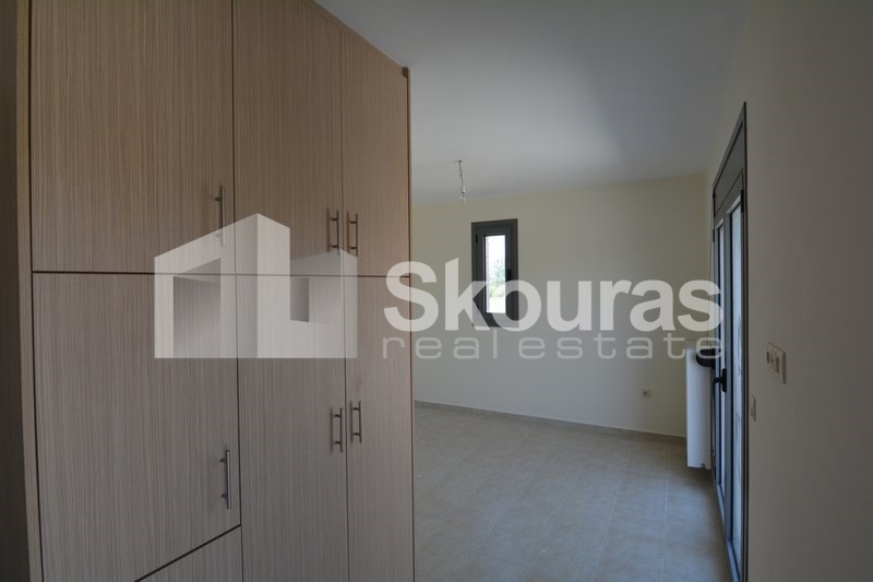Gallery image 13