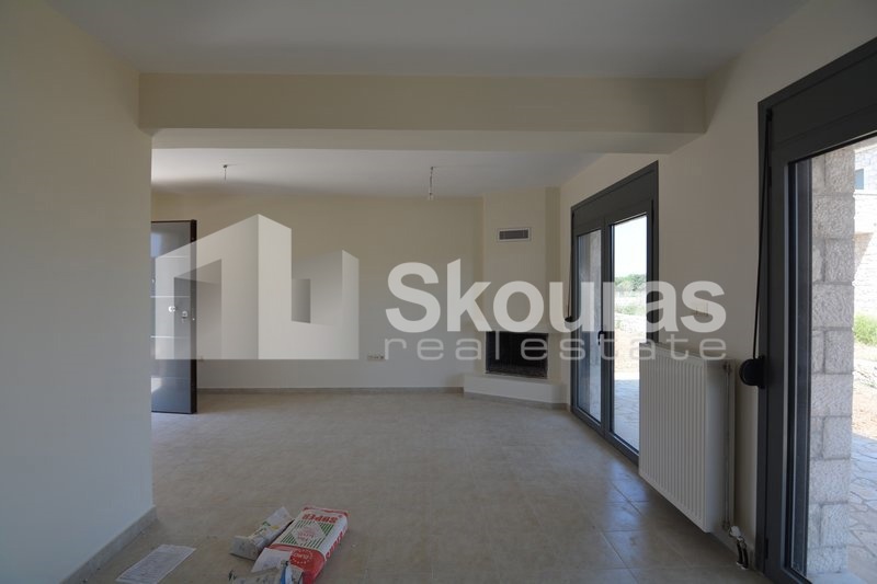 Gallery image 8