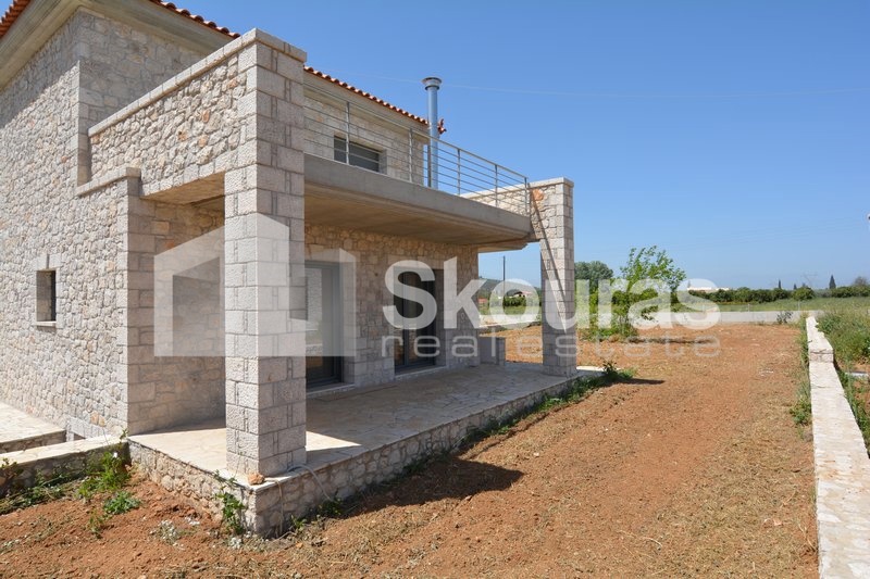 Gallery image 6