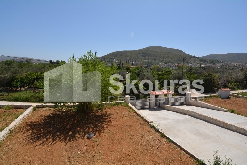Gallery image 11
