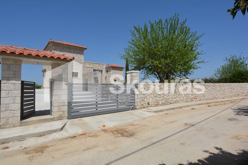 Gallery image 14