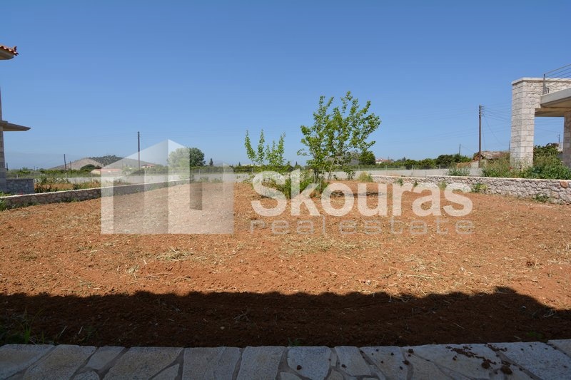 Gallery image 21