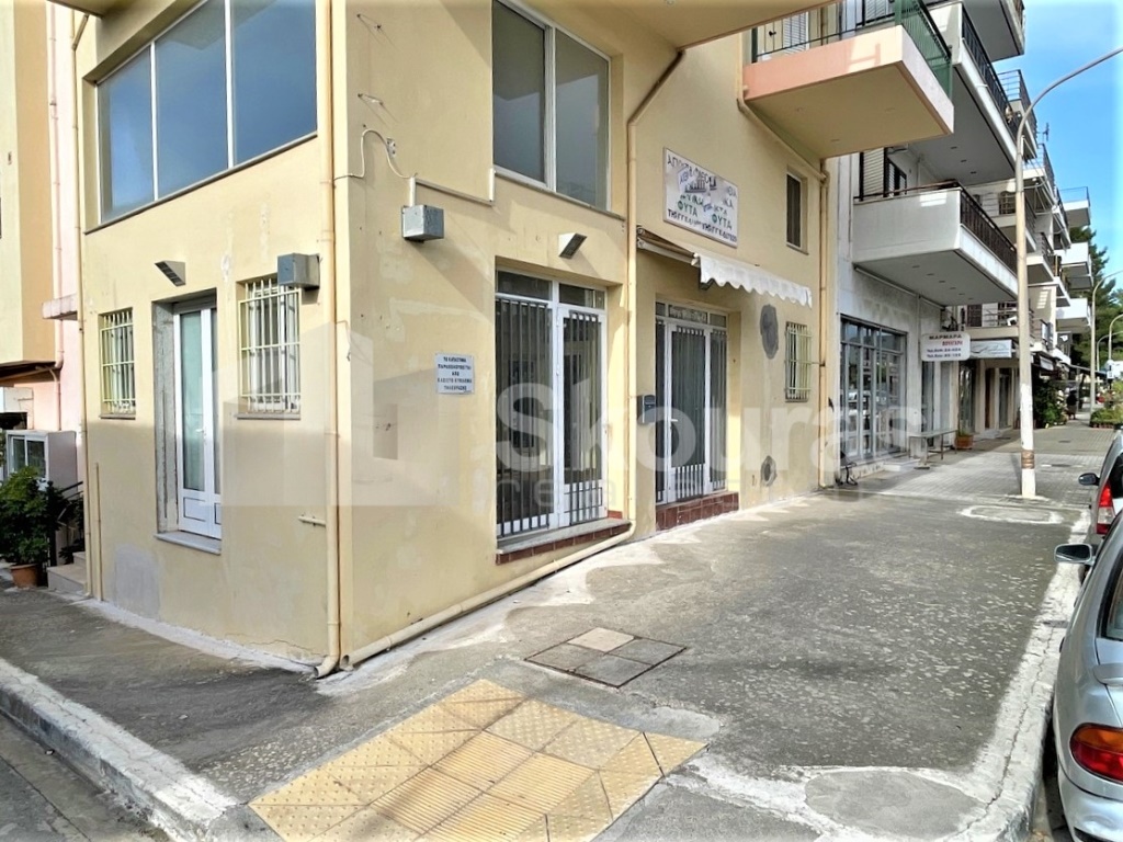 Gallery image 6