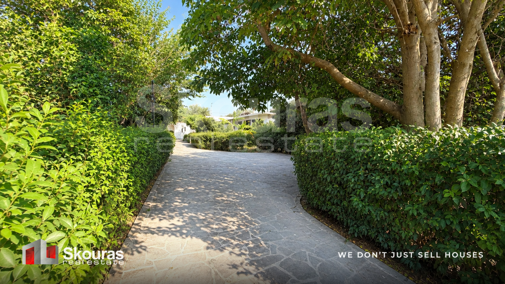 Gallery image 11