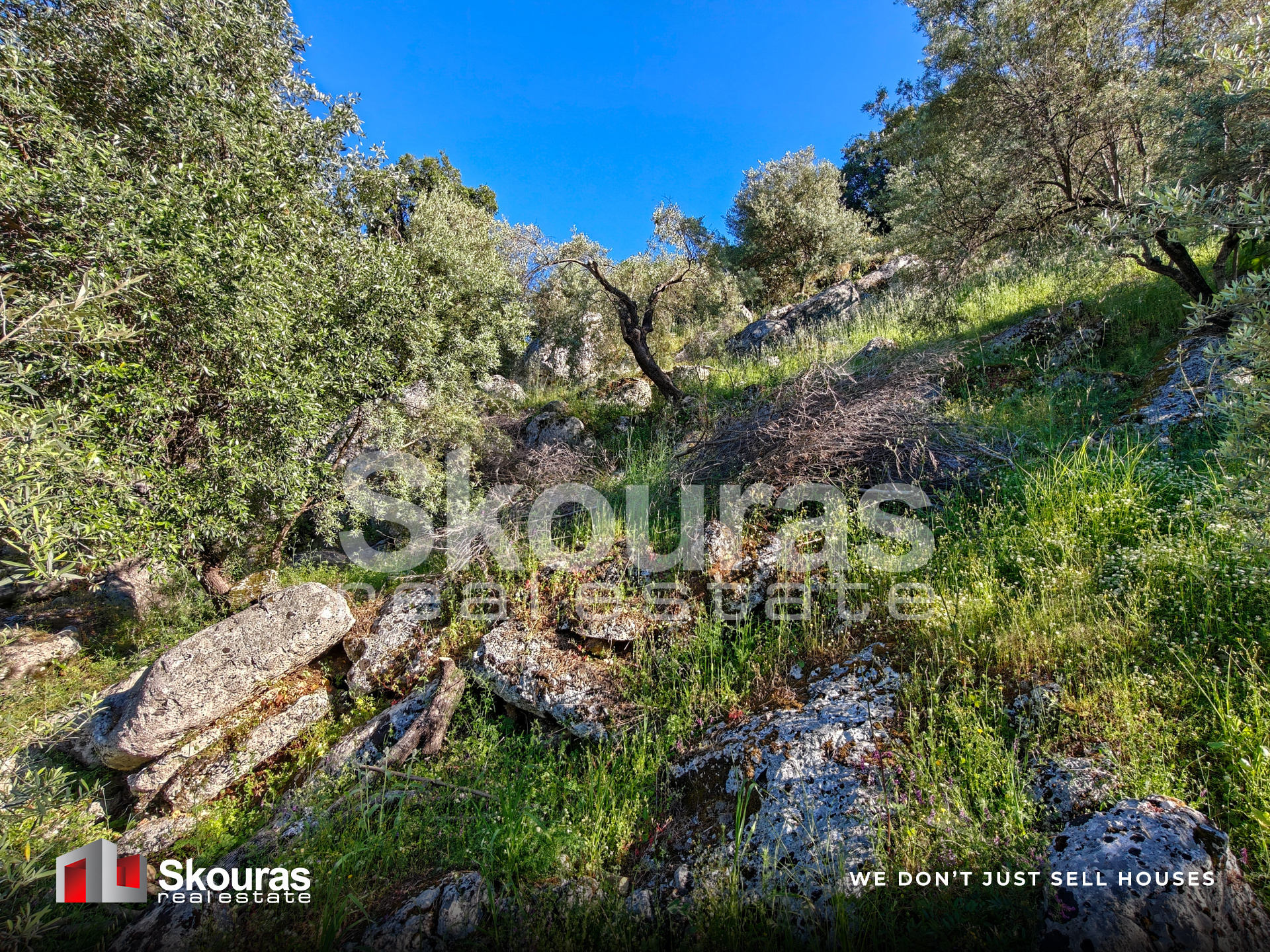 Gallery image 14