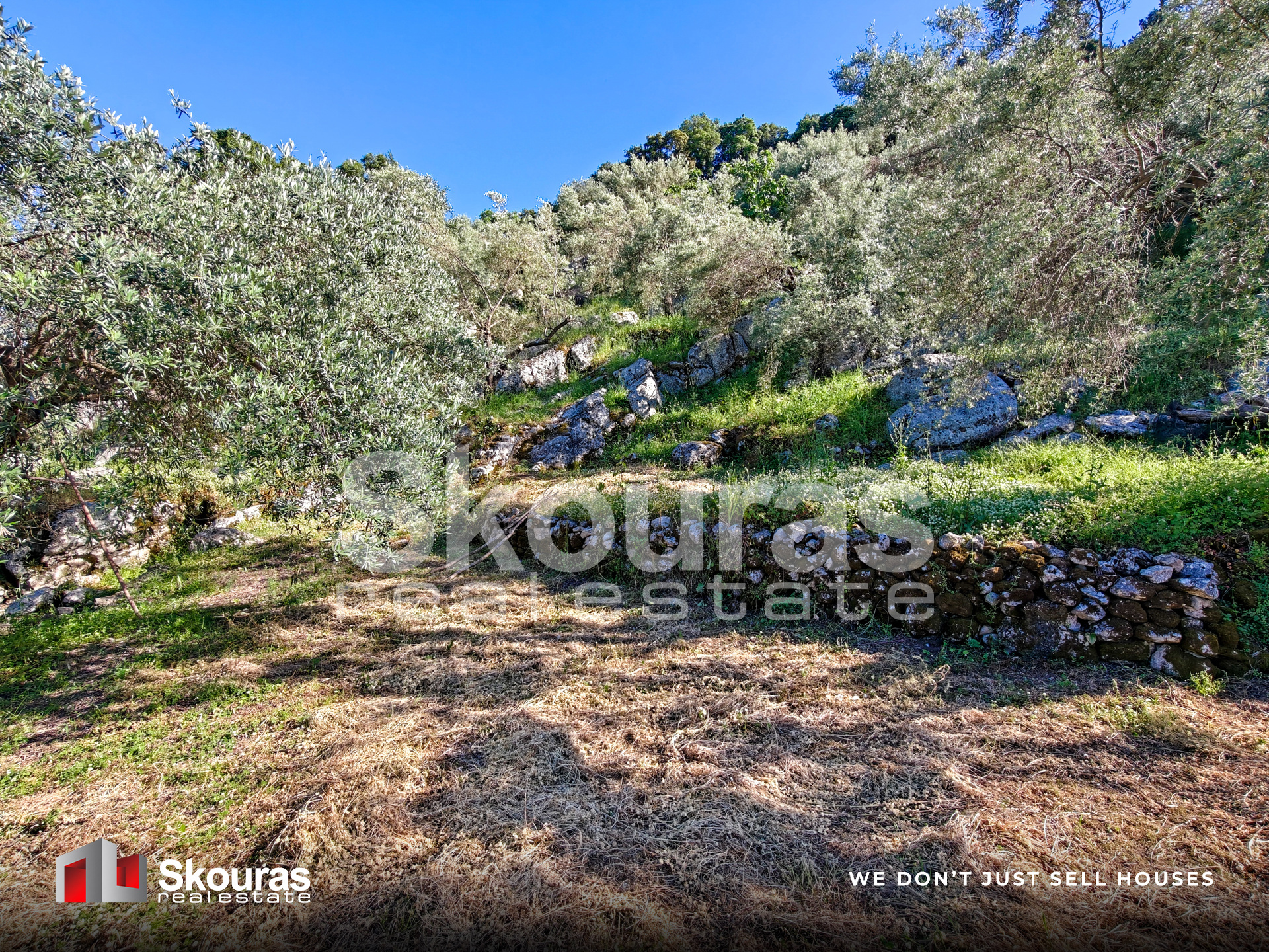 Gallery image 12