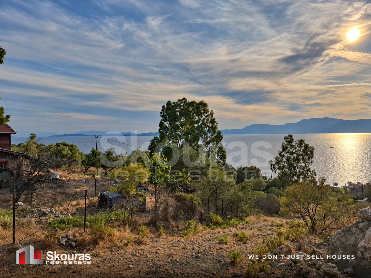 Gallery image 10