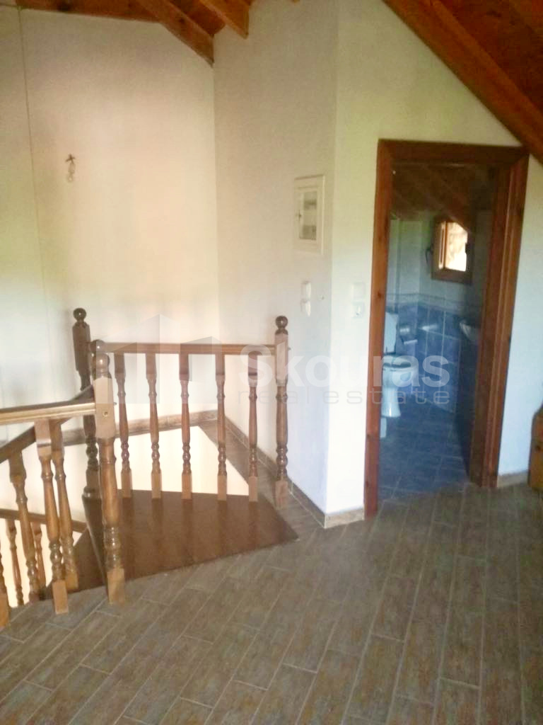 Gallery image 16