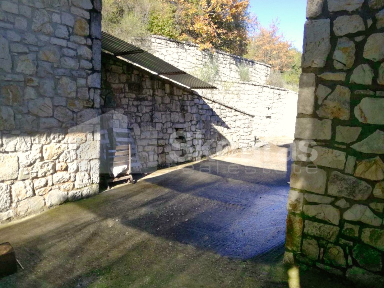 Gallery image 24
