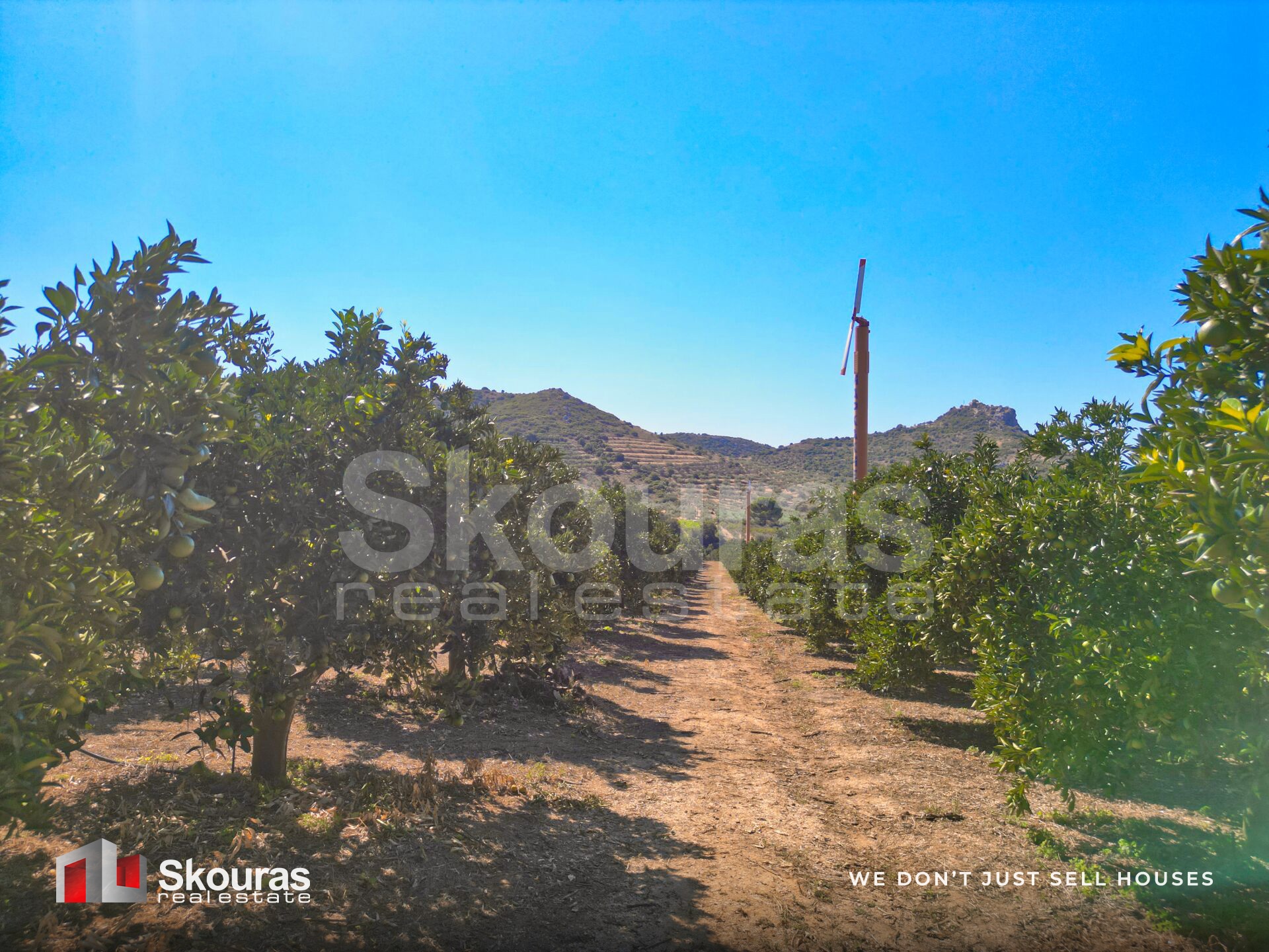 Gallery image 16