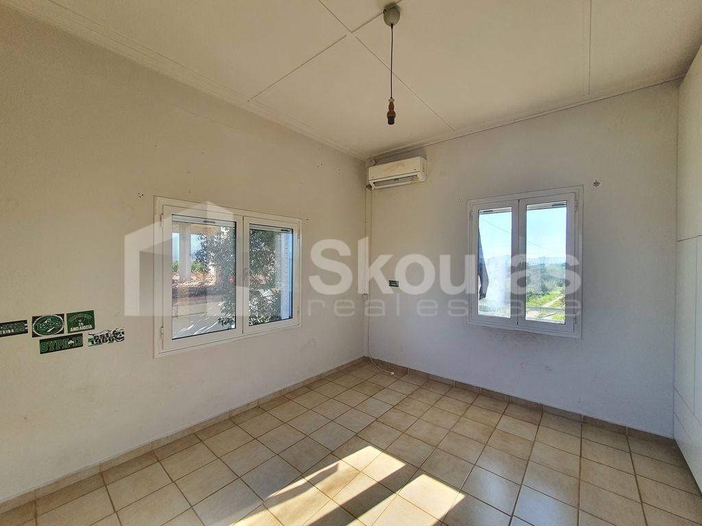 Gallery image 18