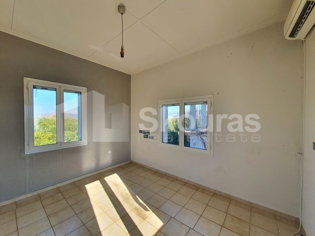 Gallery image 15