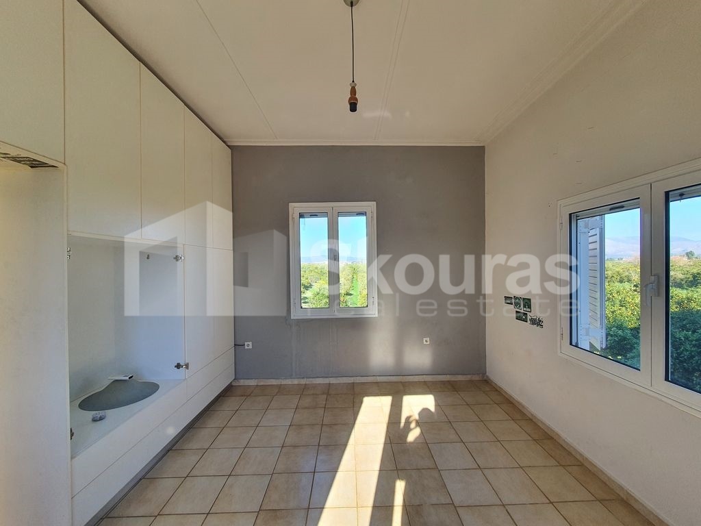 Gallery image 16