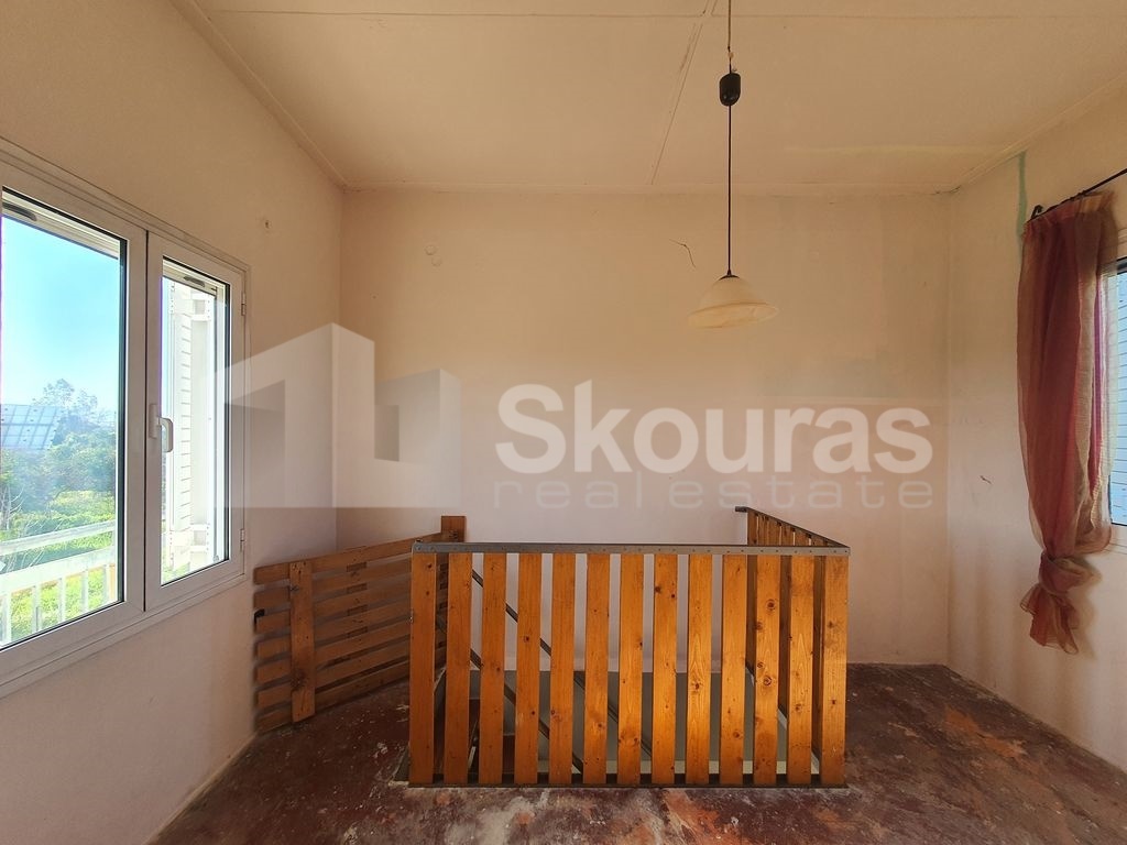 Gallery image 12