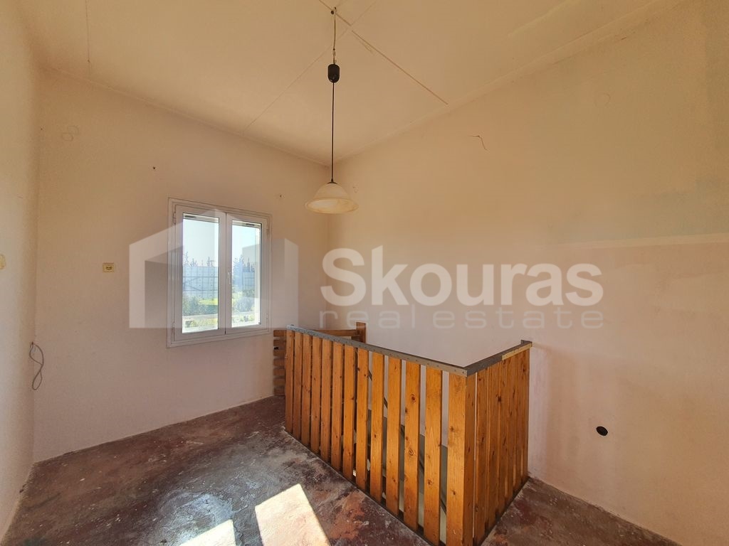 Gallery image 14