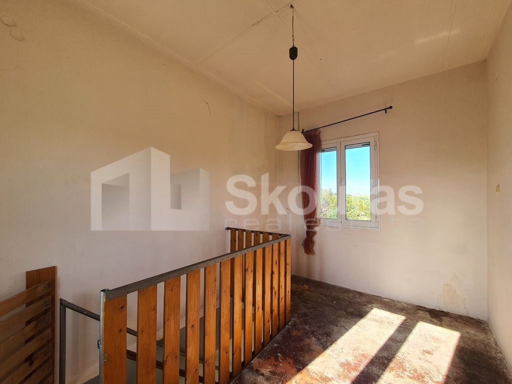 Gallery image 13