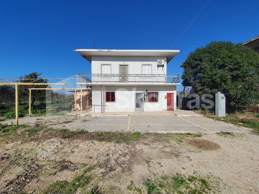Gallery image 23