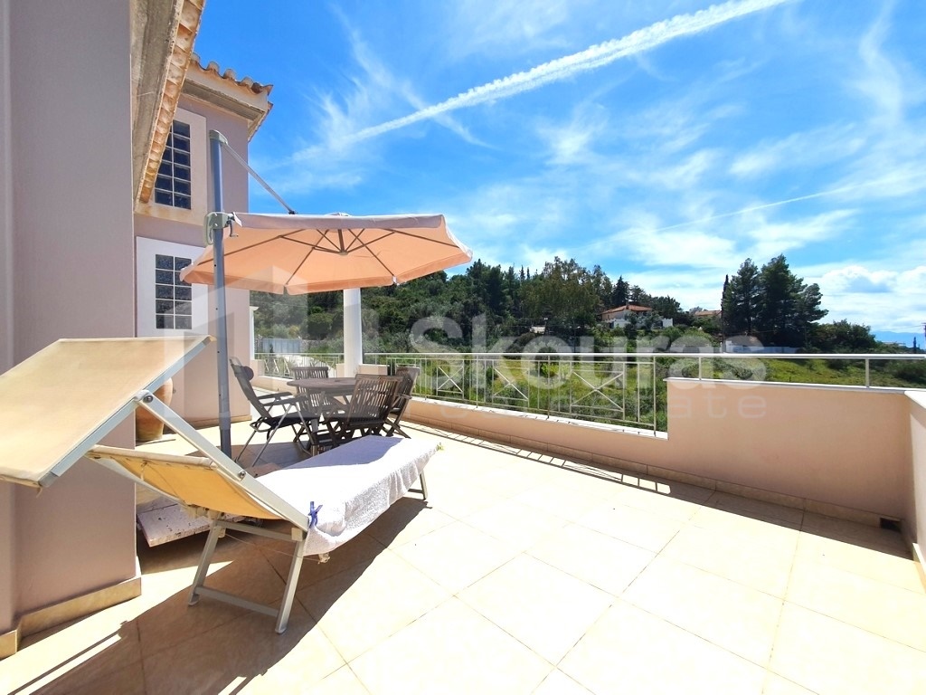 Gallery image 20