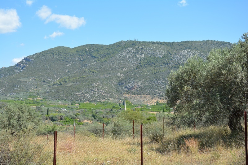 Gallery image 18
