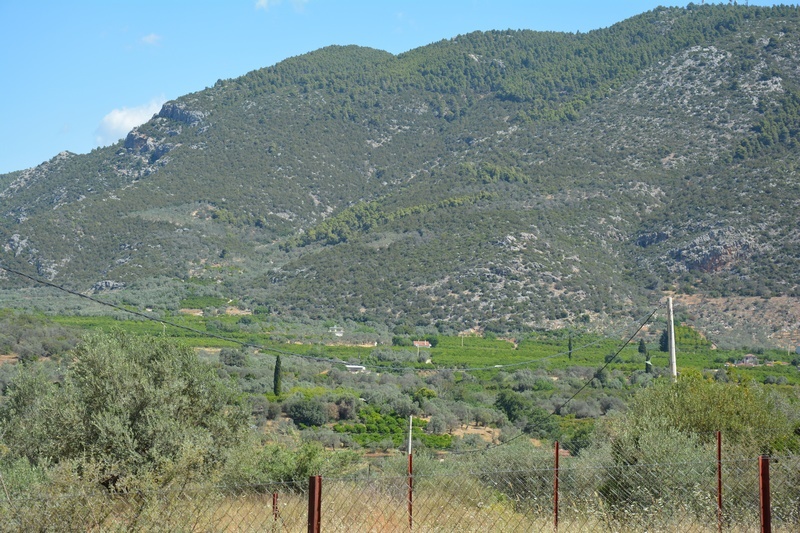 Gallery image 17