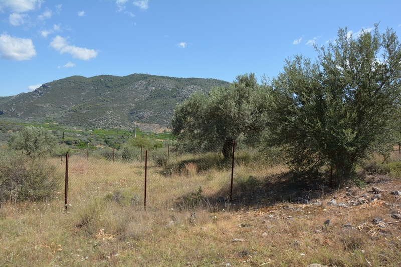 Gallery image 20