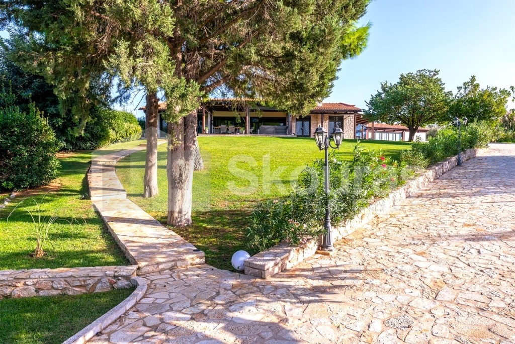 Gallery image 17