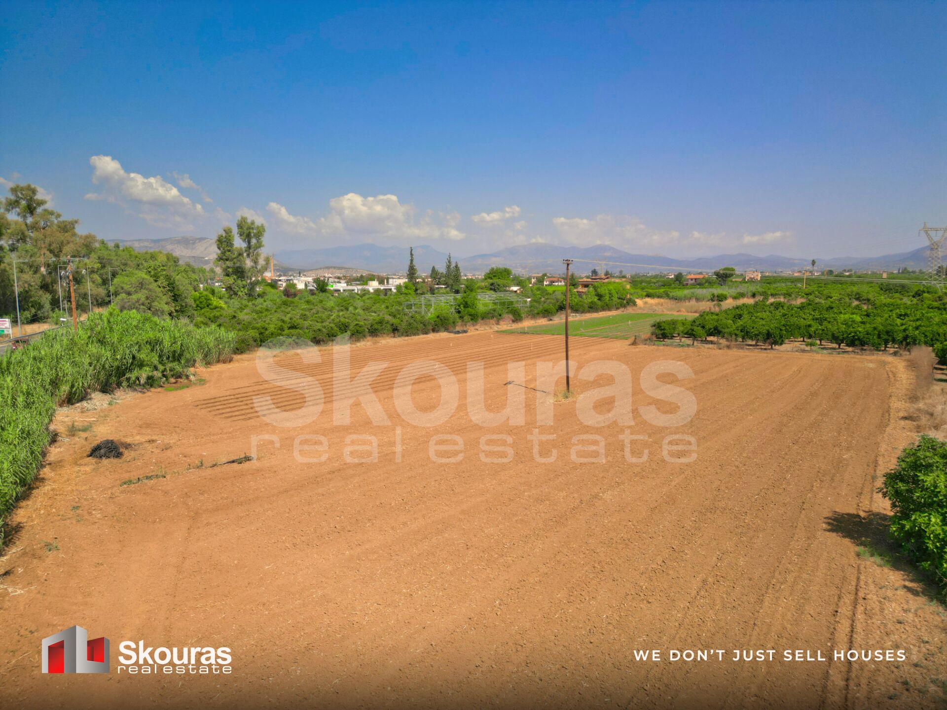 Gallery image 21