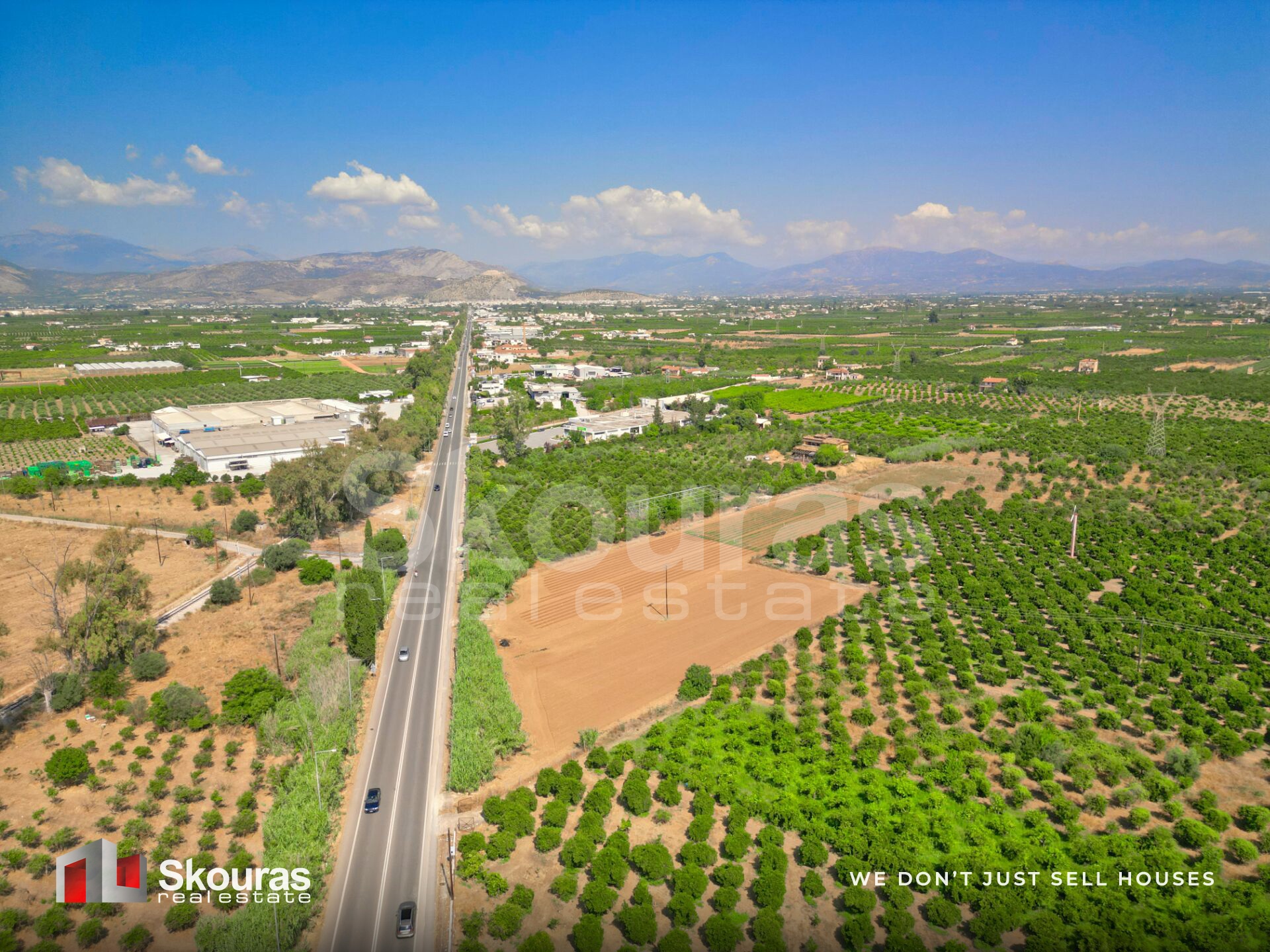 Gallery image 10