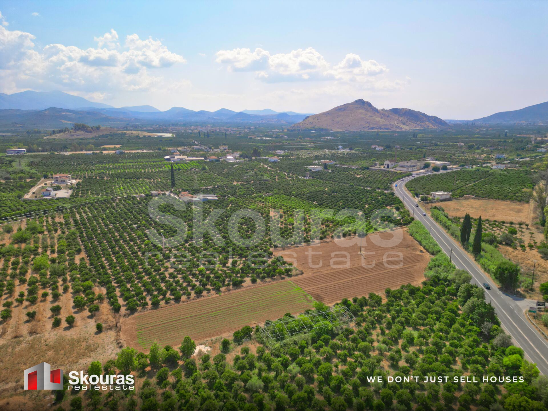 Gallery image 15