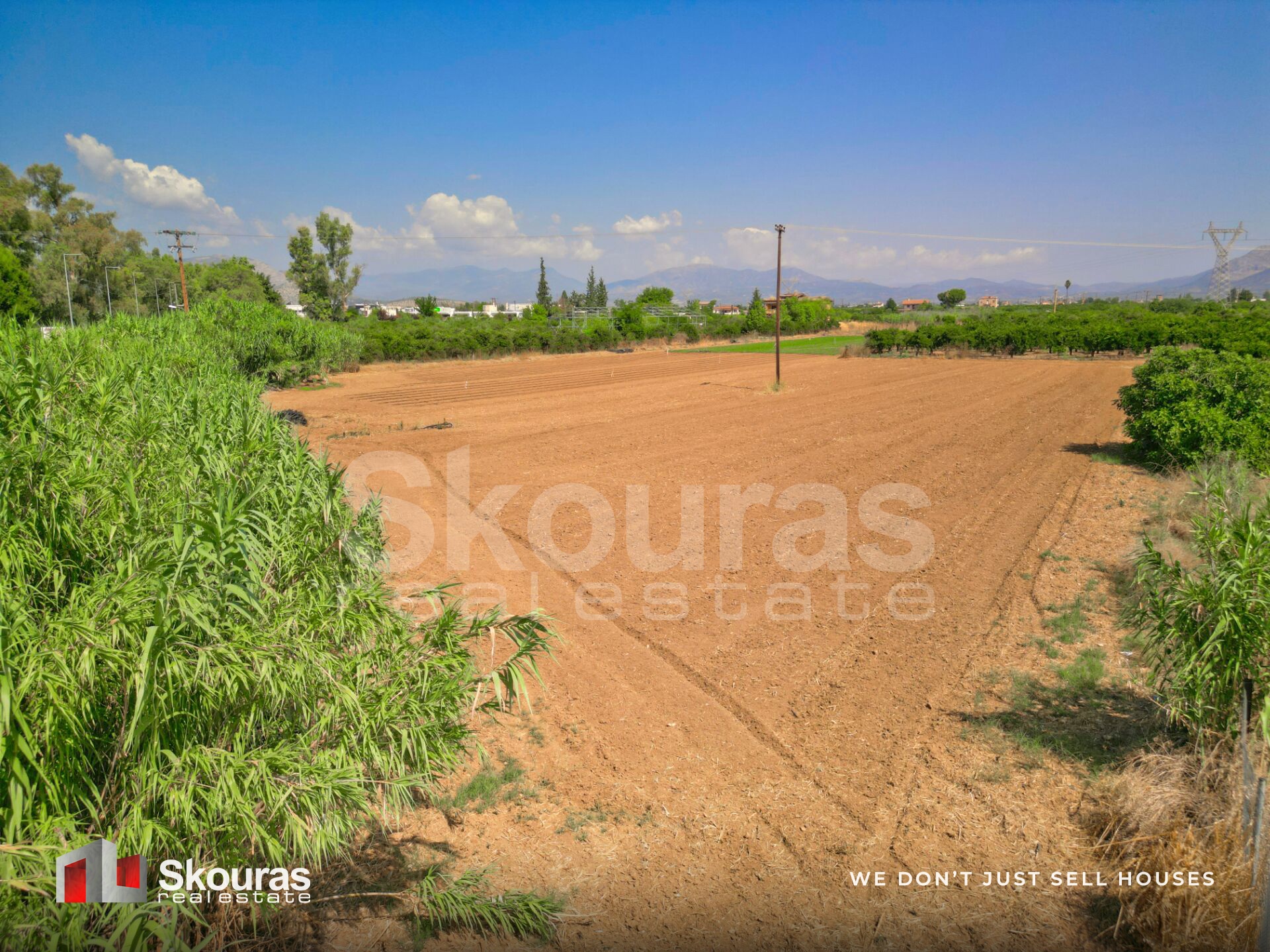 Gallery image 22