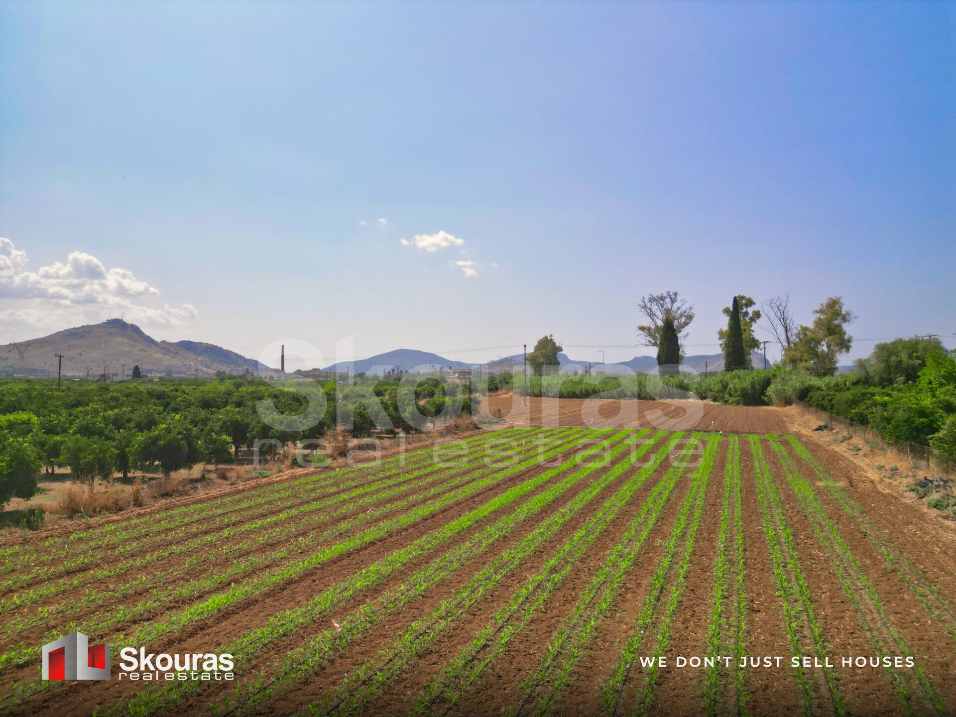 Gallery image 17
