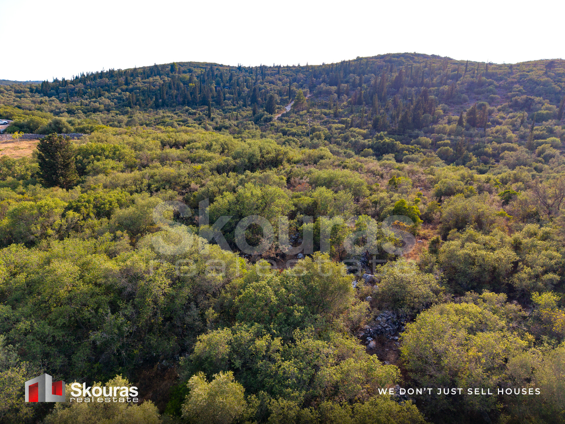 Gallery image 12