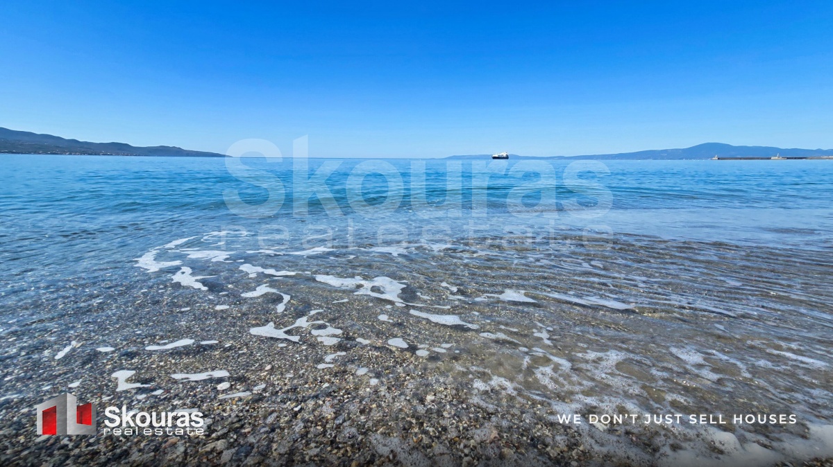 Gallery image 25