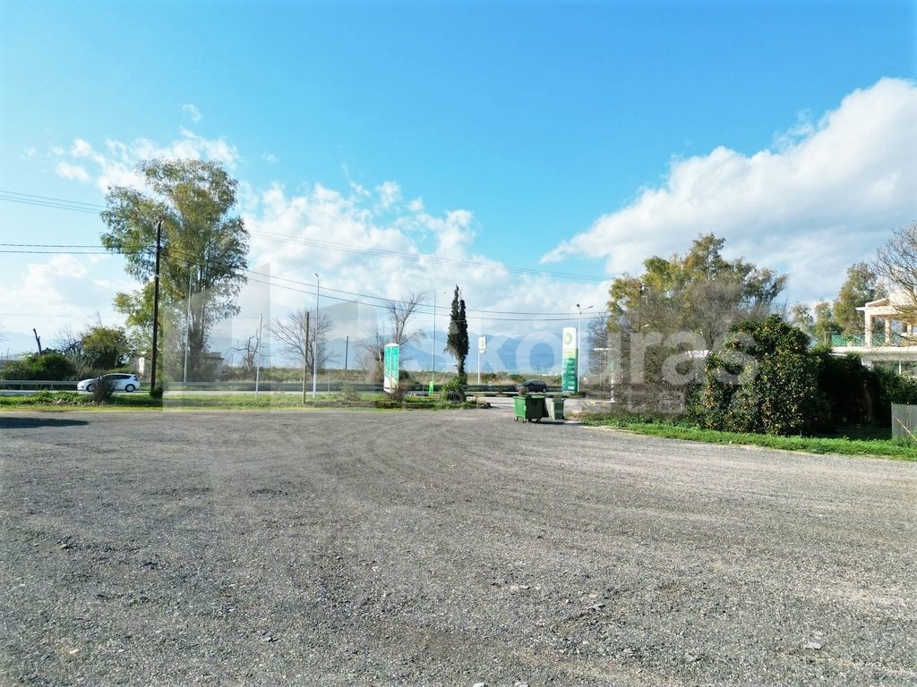 Gallery image 18